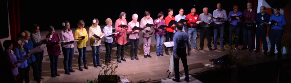 concertfoto